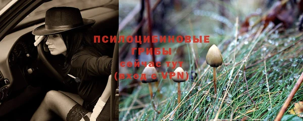 винт Нефтегорск