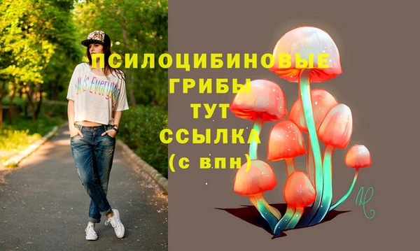 винт Нефтегорск